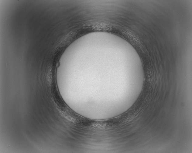 X0000075390690200610061905