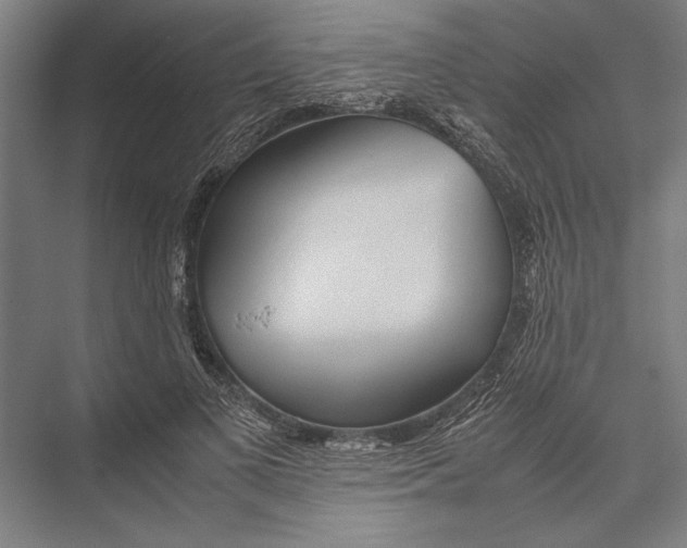X0000075390693200610061905