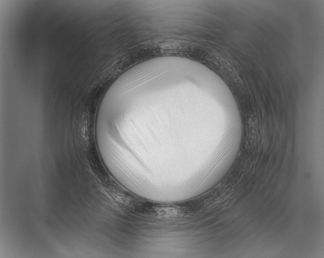 X0000075390698200610061905