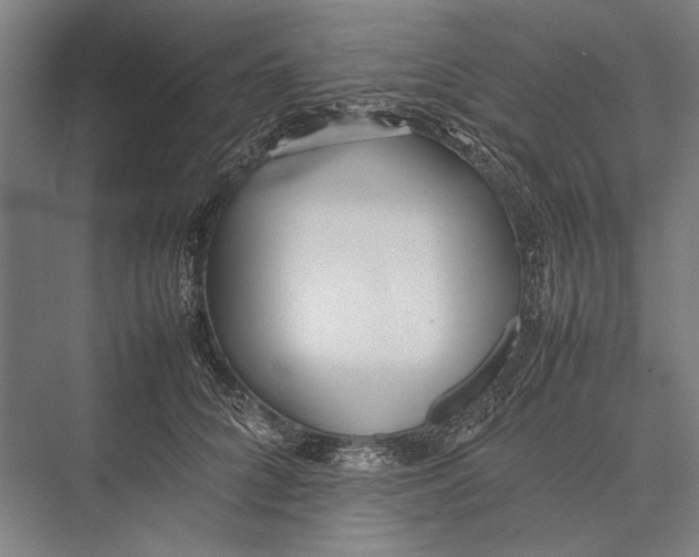 X0000075390704200610061905
