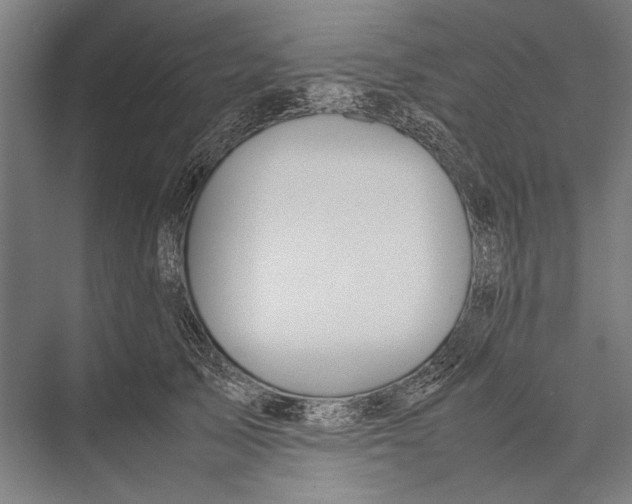 X0000075390705200610061905