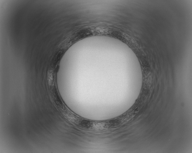 X0000075390709200610061905