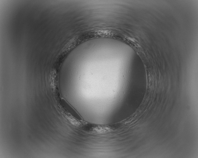 X0000075390712200610061905