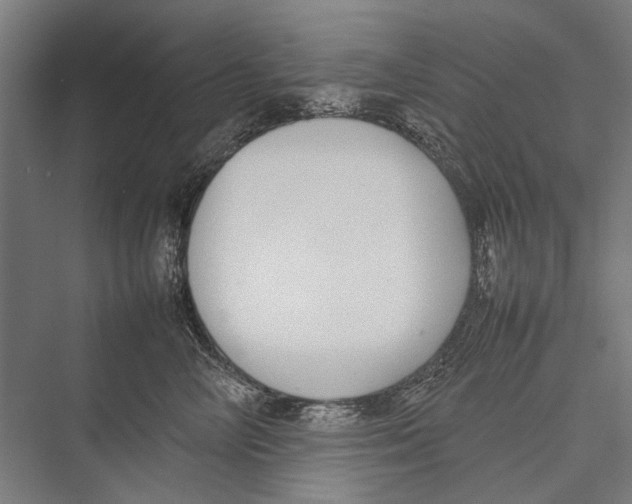 X0000075390714200610061905