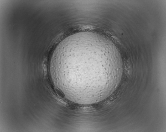 X0000075390716200610061905