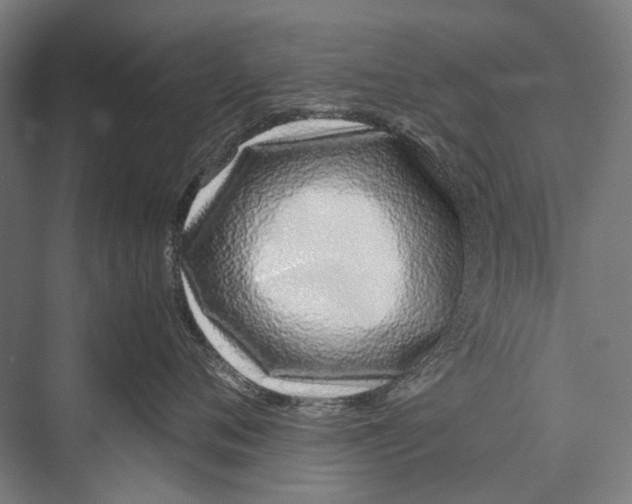 X0000075390720200610061905
