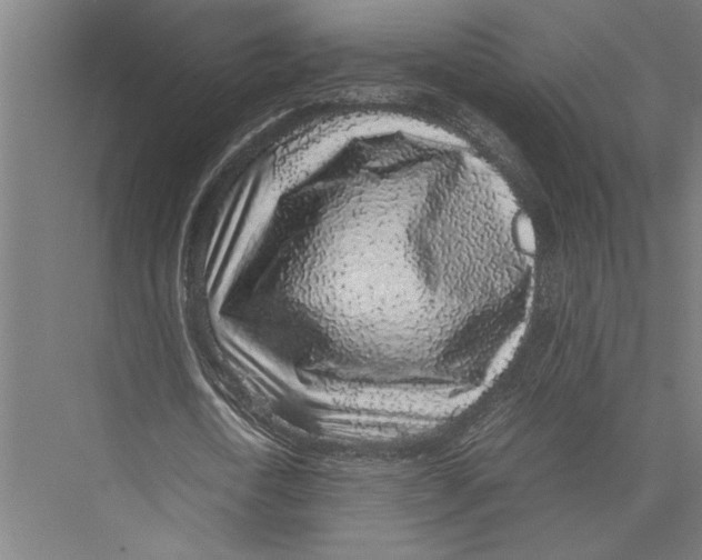 X0000075390722200610061904