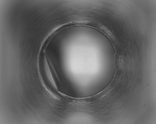 X0000075390726200610061904