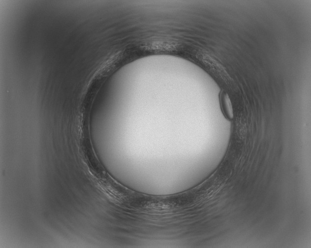 X0000075390735200610061904