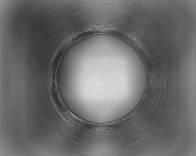 X0000075390736200610061904