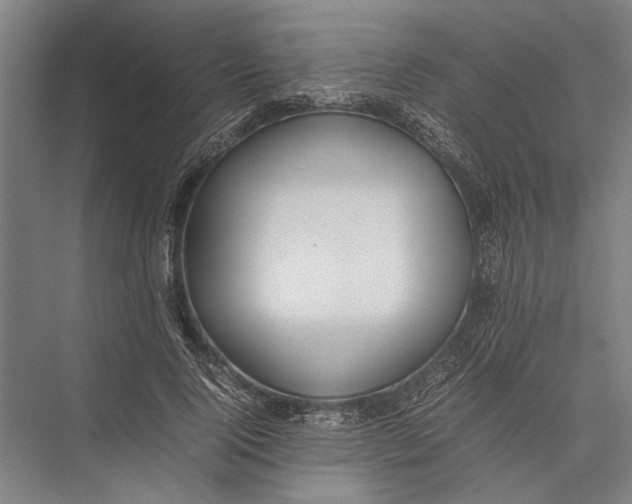 X0000075390740200610061904