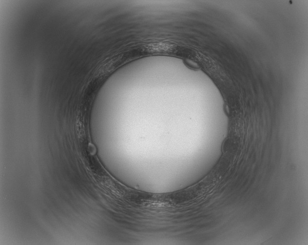 X0000075390743200610061904