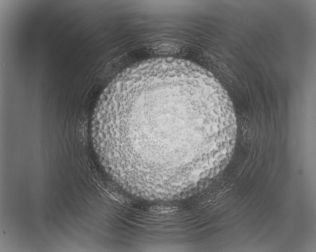 X0000075390745200610061904