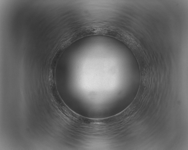 X0000075390748200610061904