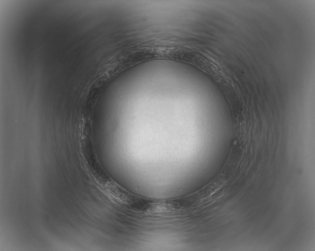 X0000075390750200610061904
