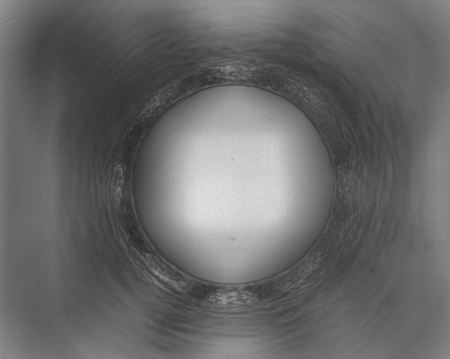 X0000075390752200610061904