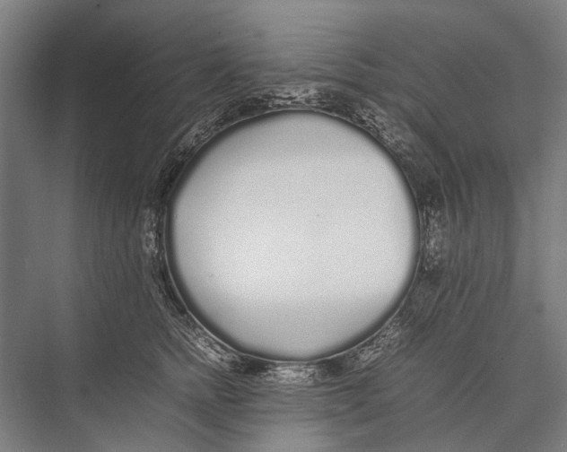 X0000075390758200610061904