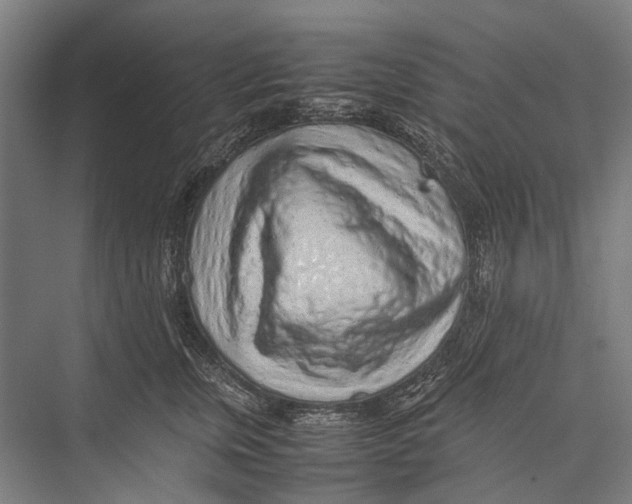 X0000075390759200610061904
