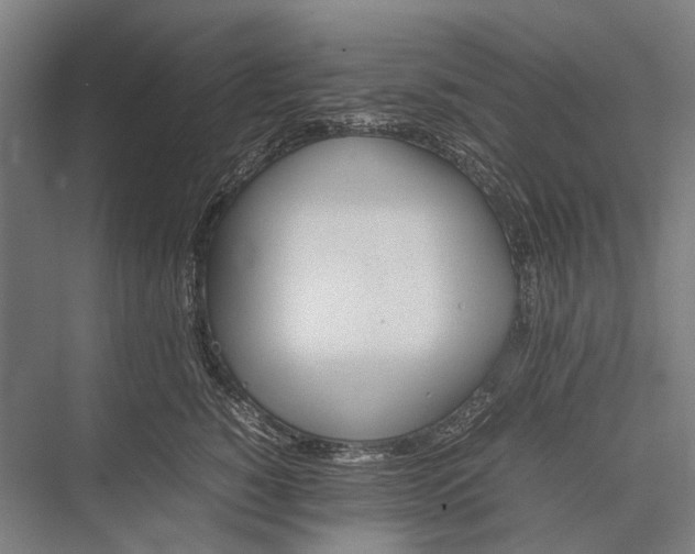 X0000075390760200610061904