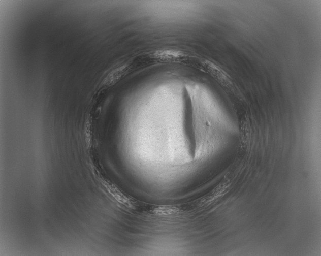 X0000075390762200610061904