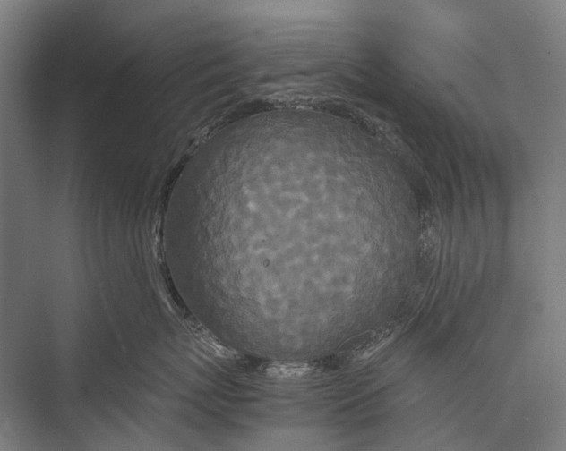 X0000075390767200610061904