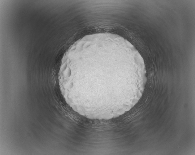 X0000075390772200610061904