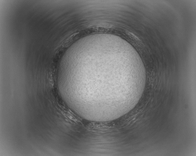 X0000075390774200610061904