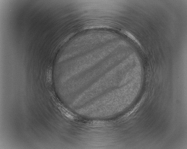 X0000075390777200610061904