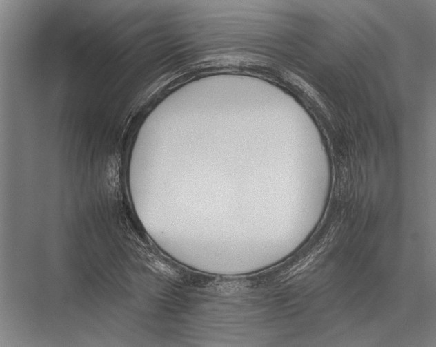 X0000075390778200610061904