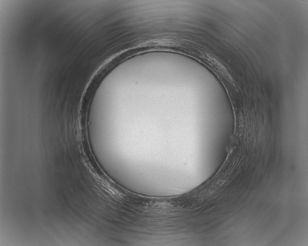 X0000075390784200610061903