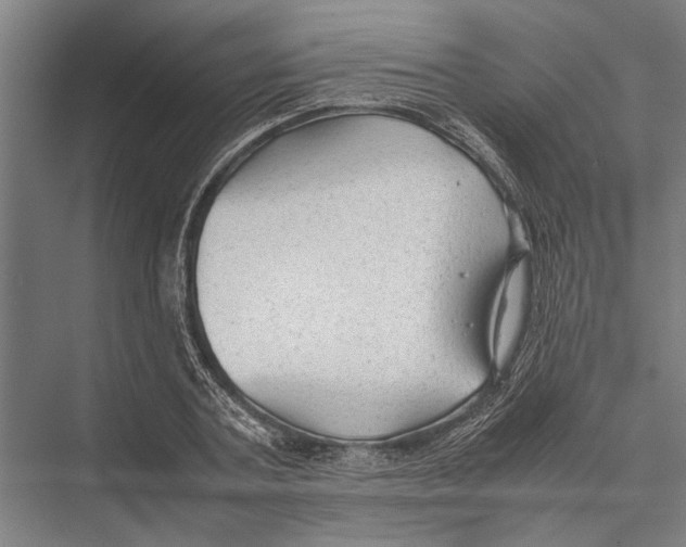 X0000075390787200610061903