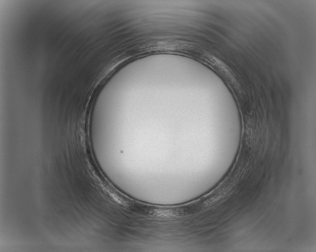 X0000075390794200610061903