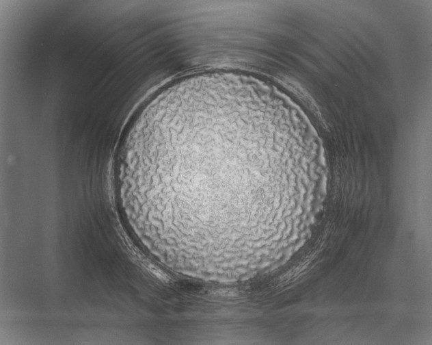 X0000075390798200610061903