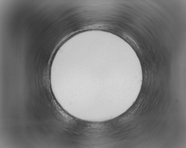 X0000075390800200610061903