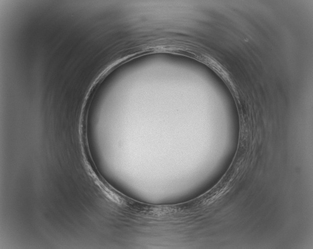 X0000075390803200610061903