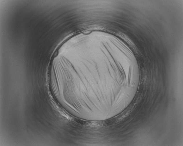 X0000075390806200610061903