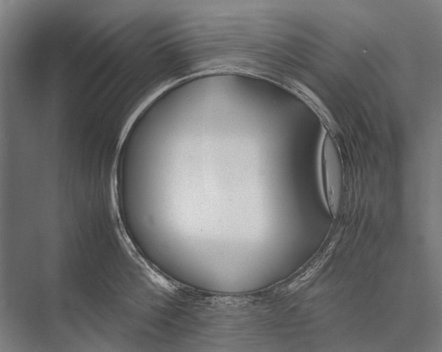 X0000075390812200610061903