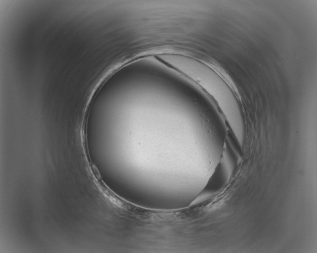 X0000075390813200610061903