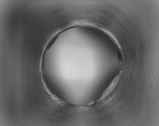 X0000075390815200610061903
