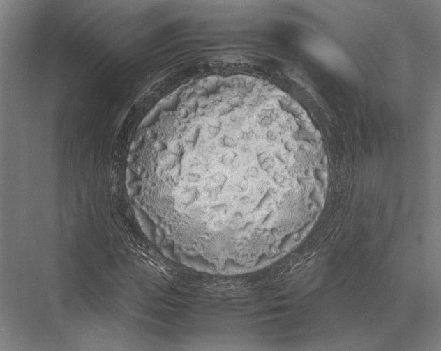 X0000075390823200610061902