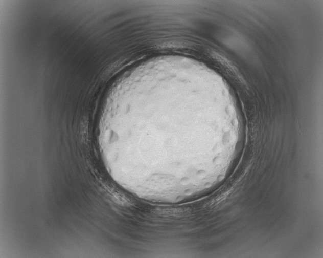X0000075390825200610061902