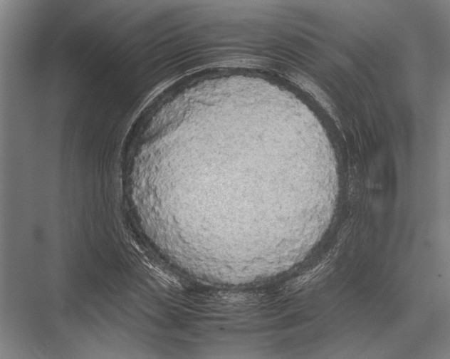 X0000075390829200610061902