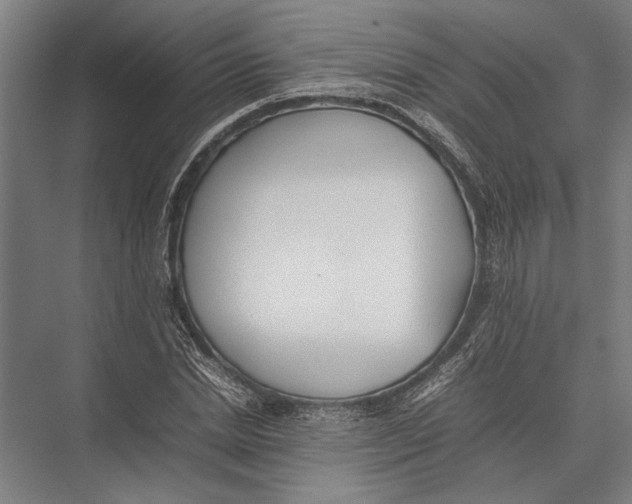 X0000075390830200610061902