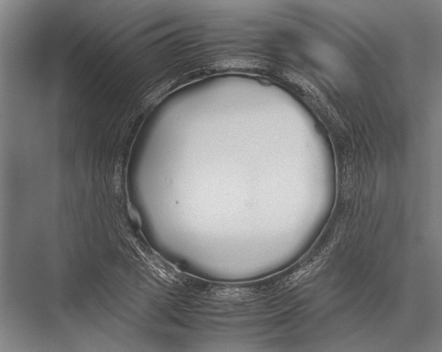 X0000075390833200610061902