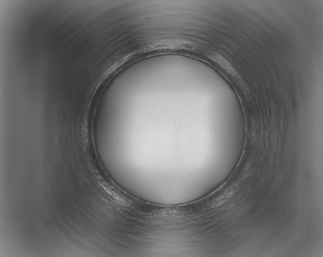 X0000075390834200610061902
