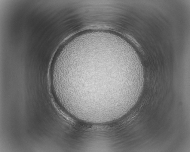 X0000075390840200610061902