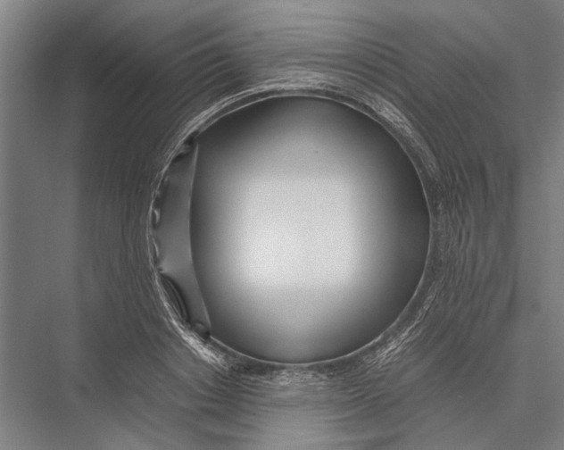 X0000075390842200610061903