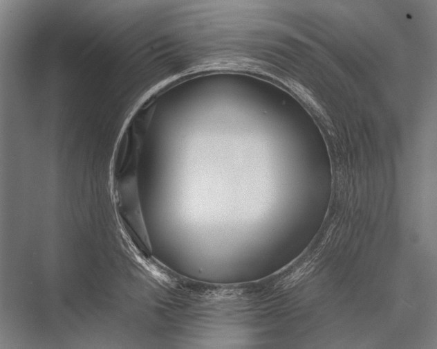 X0000075390846200610061903