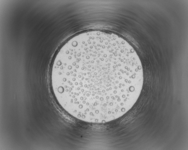 X0000075390848200610061903