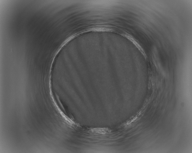 X0000075390853200610061903